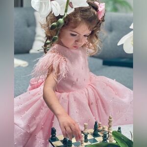 Princess dress for 2-3year old